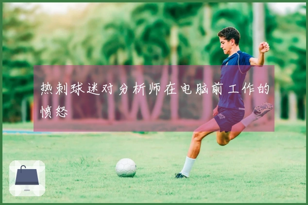热刺球迷对分析师在电脑前工作的愤怒