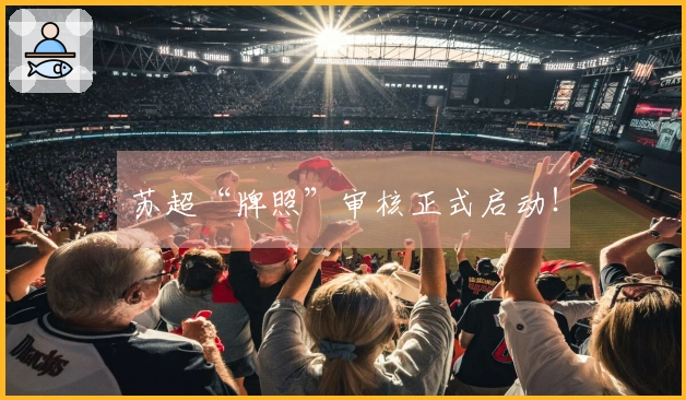 苏超“牌照”审核正式启动！